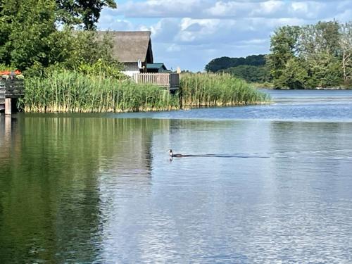 Φωτογραφία από το άλμπουμ του Doppelferienhaus am See & Wald σε Krakow am See