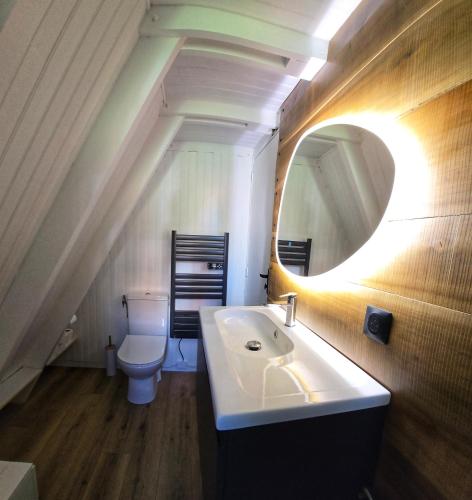 une salle de bain avec un lavabo et un miroir et des toilettes dans l'établissement Chalet des Edelweiss, Guzet, à Ustou
