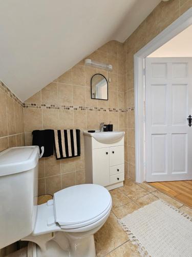 a bathroom with a white toilet and a sink at Fiáin Retreat in Miltown Malbay