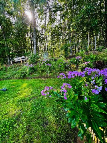 a garden with purple flowers and a park bench at LakeView DomekNaKaszubach in Parchowo