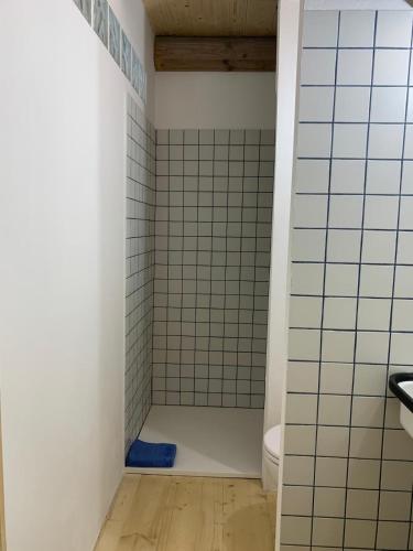 a bathroom with a shower with white tiles at Cabin Valle Cervo 