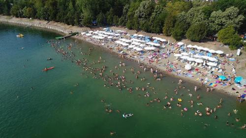 Gallery image of Vila Plaza- Luka in Bela Crkva