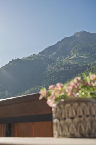 a vase with flowers in front of a mountain at Garni Praidlerhof in Tirolo