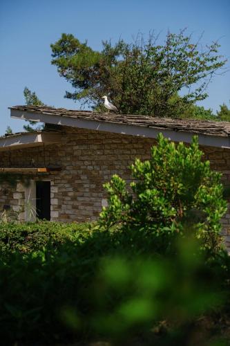 a bird sitting on the roof of a brick building at Makryammos in Limenas