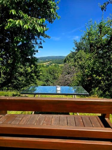 a bench with a pool in the middle of a hill at Górska Przygoda in Koniaków