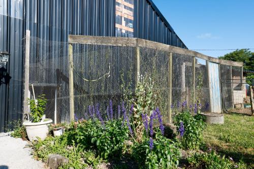 a garden with purple flowers in front of a building at Chambre Breizh in Cast
