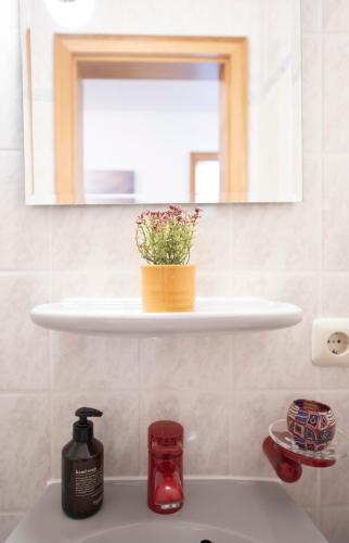 シュネーヴァーディンゲンにあるHeideidyll - Wohnung mit WLAN, Balkon, Grill & Garageの棚に植木鉢が置かれた洗面台のある浴室