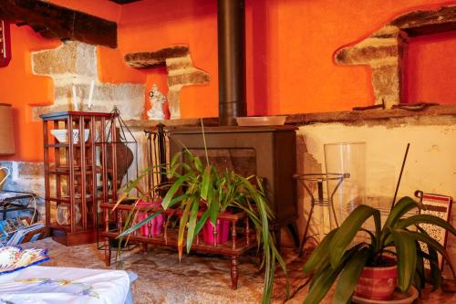 a living room with a fireplace and some plants at Chambre Breizh in Cast