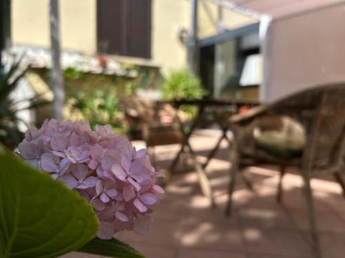 a purple flower in a vase on a patio at Albergo Salerno in Milan