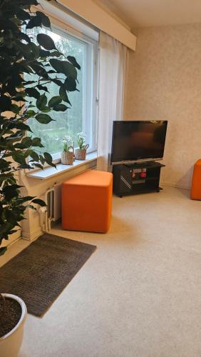 a living room with a flat screen tv and a window at Vehkaojan Kotoisa in Jämsä