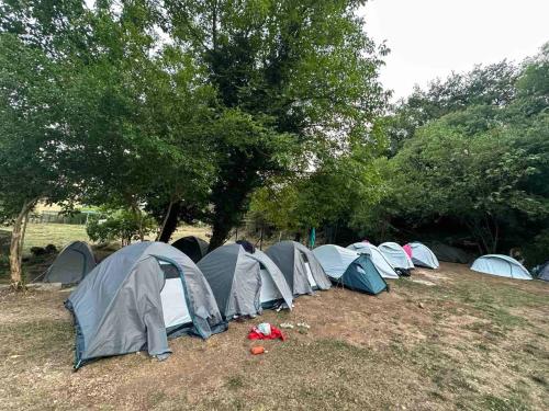 a group of tents in a field with trees at Auto camp Radoman in Virpazar