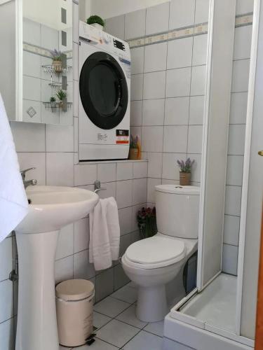 a bathroom with a toilet and a washing machine at Andreadis maissonette in Skala Potamias