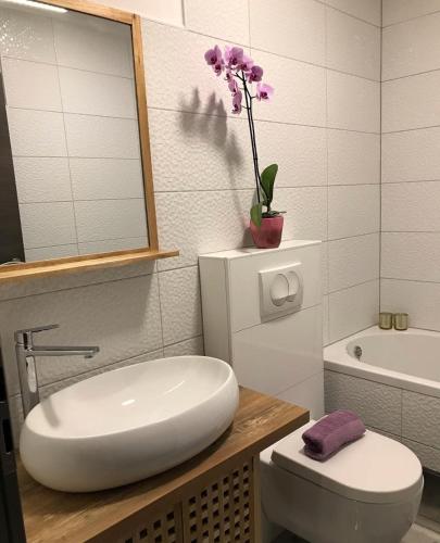 a bathroom with a sink and a toilet and a flower at Superior Apartman Vujević, Duće in Duće