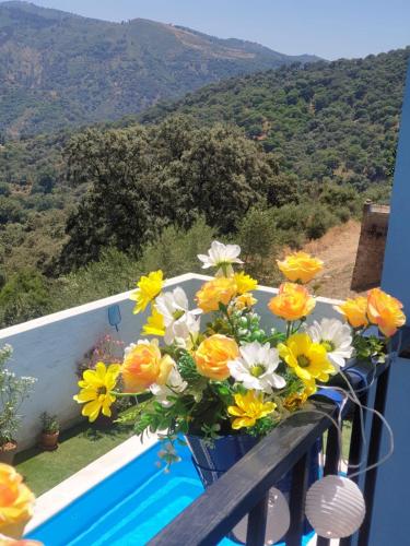 a bouquet of yellow and white flowers on a balcony at La casa de mis padres in Júzcar