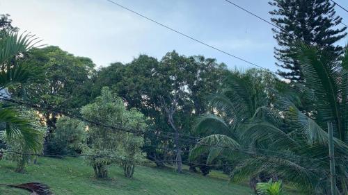 Ein Garten an der Unterkunft Montego Bay - Hillside Retreat