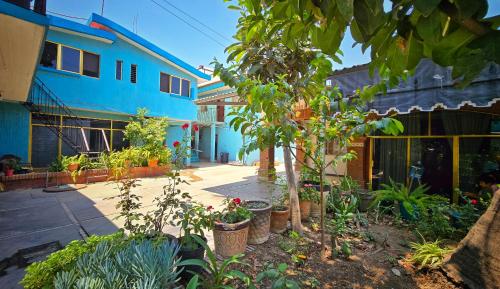 a courtyard of a house with trees and plants at El Rincón de Oaxaca - apartamento completo in Oaxaca City