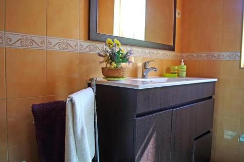 ein Badezimmer mit Waschbecken und Spiegel in der Unterkunft Charming Villa with Pool in Lamego in Lamego