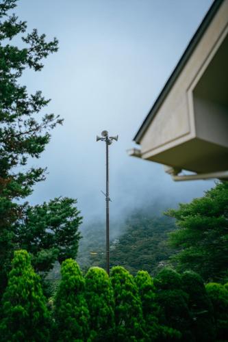 a view of a forest with a light pole and trees at 箱根 森の風を感じる一軒家 in Hakone