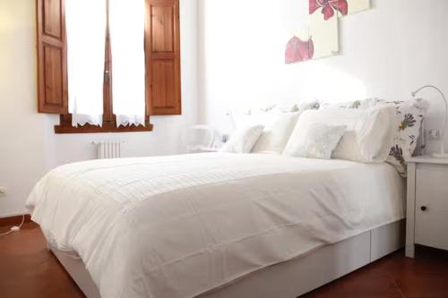 Apt S Maria near Boboli e Santo Spirito