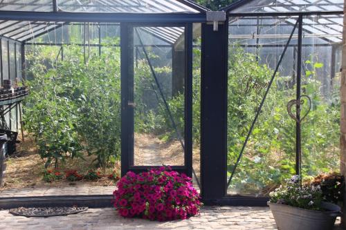 a greenhouse with pink flowers in a garden at Prim'tout in Ohey