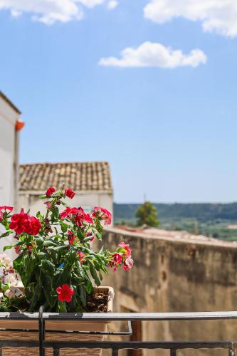 a pot of red flowers sitting on a balcony at Palazzo Ammicc in Bernalda