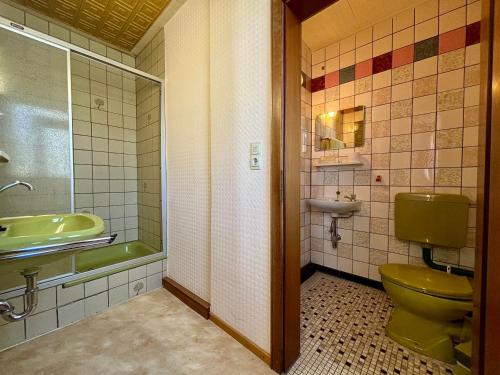bagno con servizi igienici verdi e lavandino di Pension Wollmert a Reinhardshausen