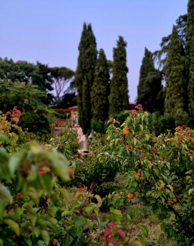 Taman di luar Calicanto - Dimora nel parco