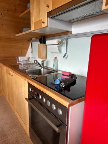 a kitchen with a stove and a sink at Panormamablick, NH Spiez, 10 min vom Thuner See in Reutigen