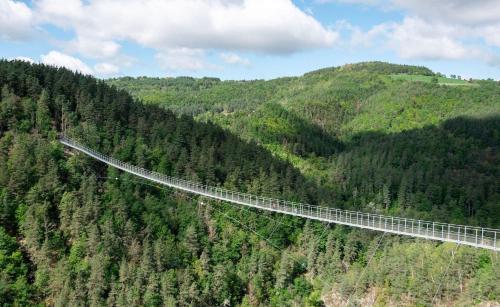 a bridge in the middle of a forest at Le petit Lignon, Centre ville in Saint-Maurice-de-Lignon