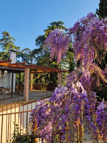 Taman di luar Calicanto - Dimora nel parco
