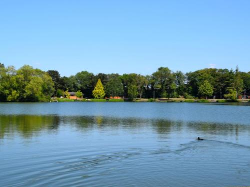 a duck swimming in the middle of a lake at Beech Lodge 5 Hot Tub in York