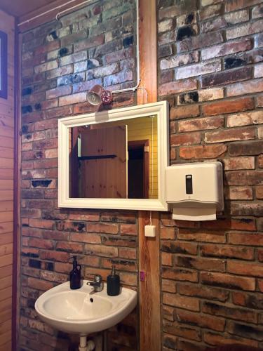 a bathroom with a sink and a mirror on a brick wall at Denderi in Vaidava