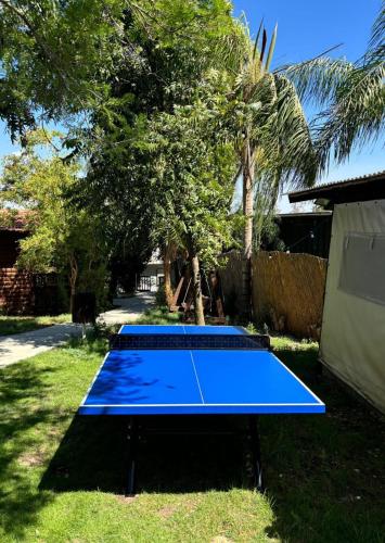 a couple of blue tennis courts in a yard at בינות תמרים in Menaẖemya