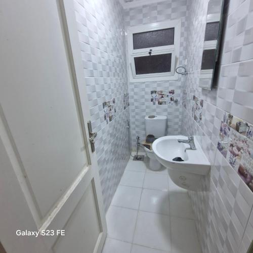 アレクサンドリアにあるرويال فيو المنتزة Royal view Elmontazaの洗面台とトイレを備えた白いバスルーム