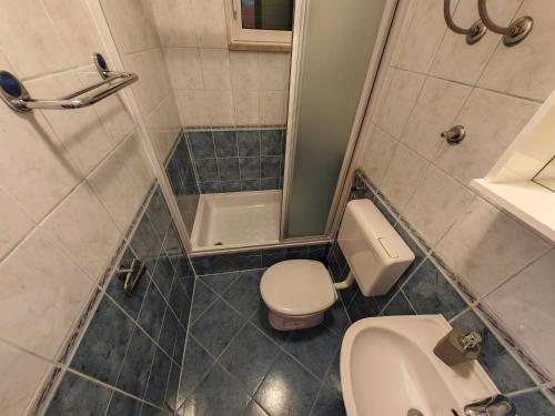 a bathroom with a toilet and a shower at Apartmani CVJET in Makarska