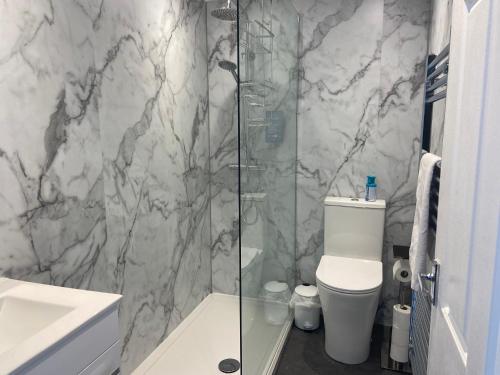 a bathroom with a shower with a toilet and a sink at Serenity Suites in Douglas