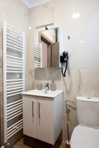 a bathroom with a toilet and a sink and a mirror at Alex Apartments in Ioannina