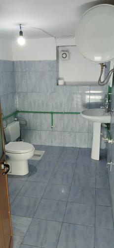 a bathroom with a toilet and a sink at Bujtina Sherifaj in Valbonë