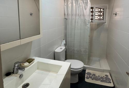 a bathroom with a sink and a toilet and a shower at Apartamento Pineda de Mar en Primera Línea in Pineda de Mar