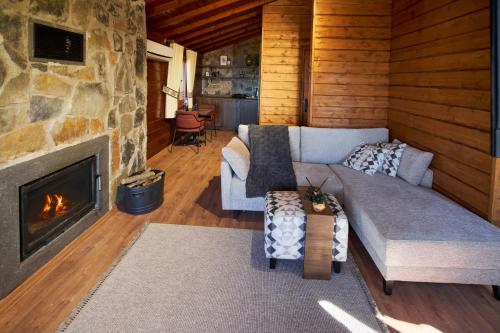 a living room with a couch and a fireplace at Flora Handüzü Resort & Wellness Bungalow Hotel in Rize