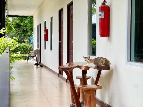 a cat sitting on top of a wooden table at Rungreang Hotel in Ban Phai