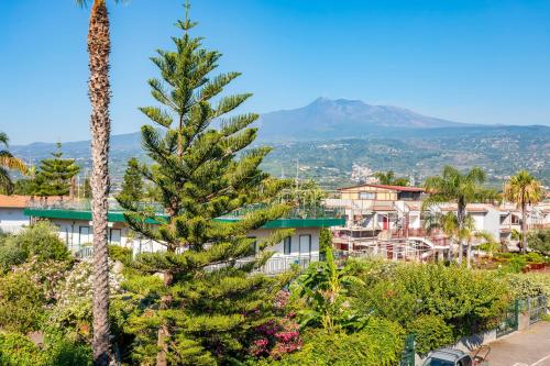 a pine tree in front of a city with mountains at I Ciottoli Dello Ionio in Mascali