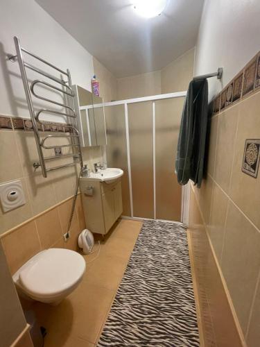 ヴァルミエラにあるCentral Family apartmentの小さなバスルーム(トイレ、シャワー付)