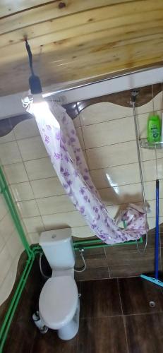 a bathroom with a toilet with a purple shower curtain at Bujtina Sherifaj in Valbonë