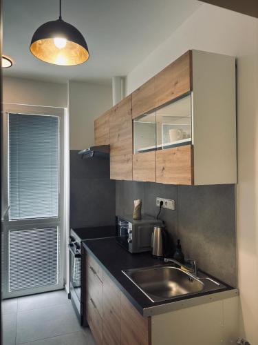 a kitchen with a sink and a microwave at Ubytování Stará in Ústí nad Labem