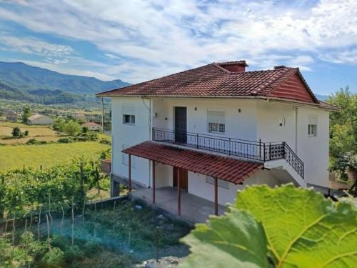 Foto de la galeria de NatureHouse Permet a Përmet