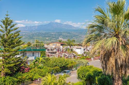 a city with palm trees and a mountain in the background at I Ciottoli Dello Ionio in Mascali