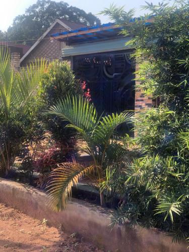 Gallery image of MJK 360 traveler stop in Masaka