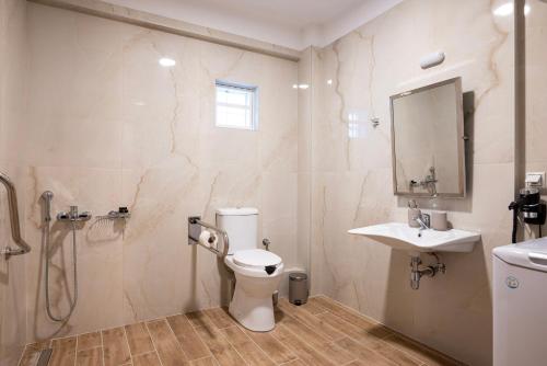 a bathroom with a toilet and a sink and a mirror at Alex Apartments in Ioannina