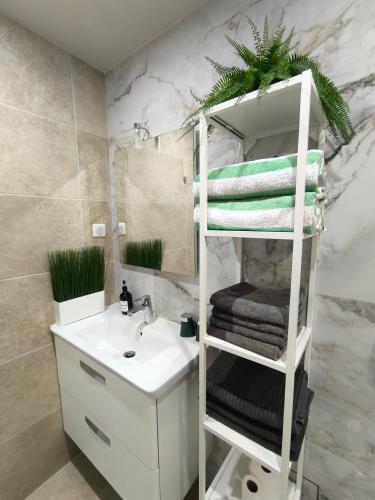 La salle de bains est pourvue de lits superposés et d'un lavabo. dans l'établissement Nizza-Azur vue mer, à Nice